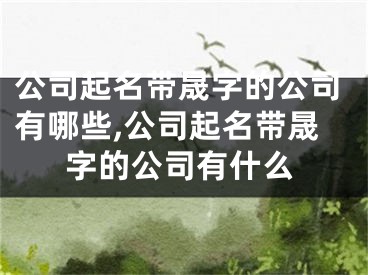公司起名带晟字的公司有哪些,公司起名带晟字的公司有什么