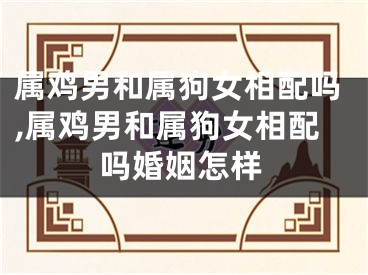 属鸡男和属狗女相配吗,属鸡男和属狗女相配吗婚姻怎样