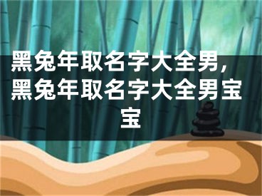 黑兔年取名字大全男,黑兔年取名字大全男宝宝