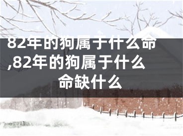 82年的狗属于什么命,82年的狗属于什么命缺什么