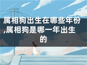 属相狗出生在哪些年份,属相狗是哪一年出生的
