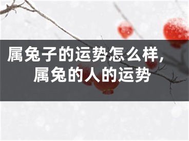 属兔子的运势怎么样,属兔的人的运势