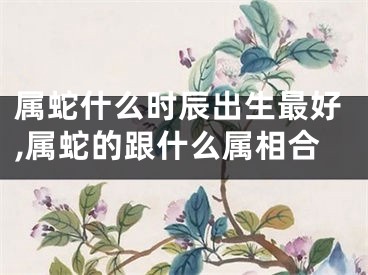 属蛇什么时辰出生最好,属蛇的跟什么属相合