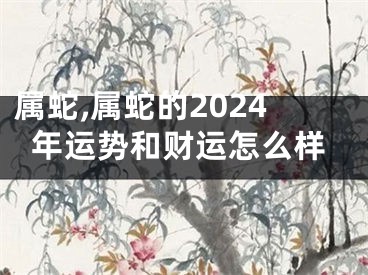 属蛇,属蛇的2024年运势和财运怎么样