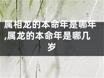 属相龙的本命年是哪年,属龙的本命年是哪几岁