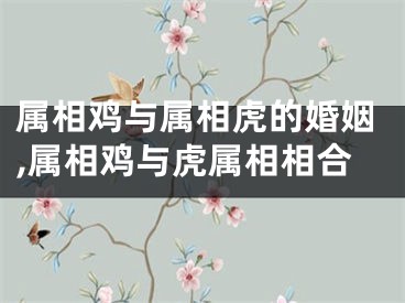 属相鸡与属相虎的婚姻,属相鸡与虎属相相合