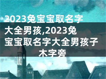 2023兔宝宝取名字大全男孩,2023兔宝宝取名字大全男孩子木字旁