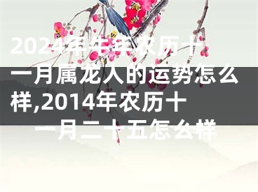2024年牛年农历十一月属龙人的运势怎么样,2014年农历十一月二十五怎么样