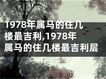 1978年属马的住几楼最吉利,1978年属马的住几楼最吉利层