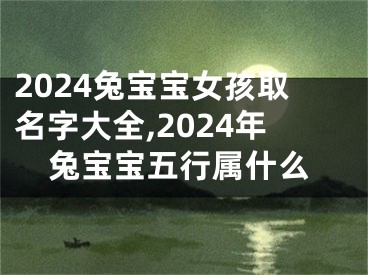 2024兔宝宝女孩取名字大全,2024年兔宝宝五行属什么
