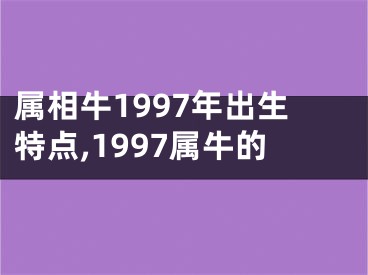 属相牛1997年出生特点,1997属牛的