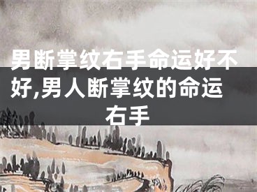 男断掌纹右手命运好不好,男人断掌纹的命运右手