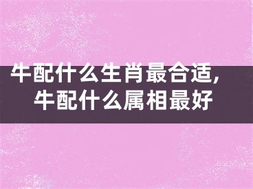 牛配什么生肖最合适,牛配什么属相最好