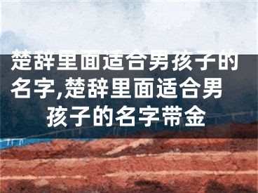 楚辞里面适合男孩子的名字,楚辞里面适合男孩子的名字带金