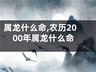 属龙什么命,农历2000年属龙什么命