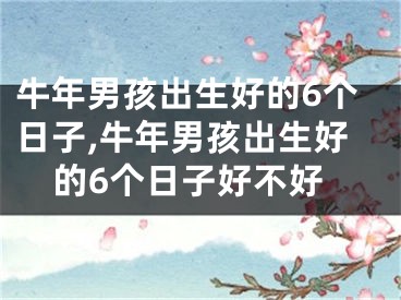 牛年男孩出生好的6个日子,牛年男孩出生好的6个日子好不好