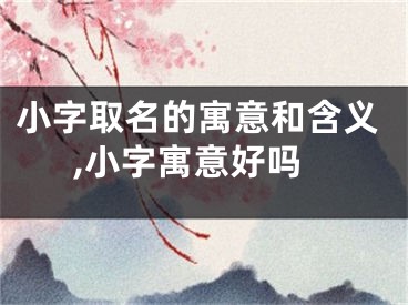 小字取名的寓意和含义,小字寓意好吗
