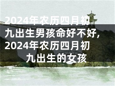 2024年农历四月初九出生男孩命好不好,2024年农历四月初九出生的女孩