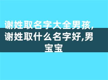 谢姓取名字大全男孩,谢姓取什么名字好,男宝宝