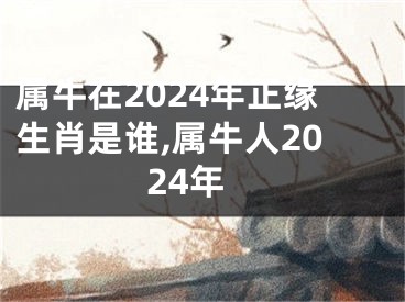 属牛在2024年正缘生肖是谁,属牛人2024年
