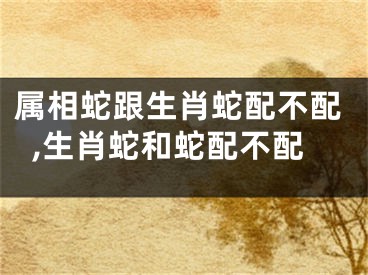 属相蛇跟生肖蛇配不配,生肖蛇和蛇配不配