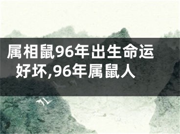 属相鼠96年出生命运好坏,96年属鼠人