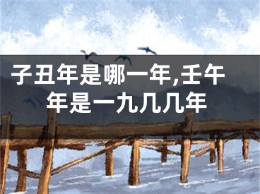 子丑年是哪一年,壬午年是一九几几年