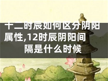十二时辰如何区分阴阳属性,12时辰阴阳间隔是什么时候