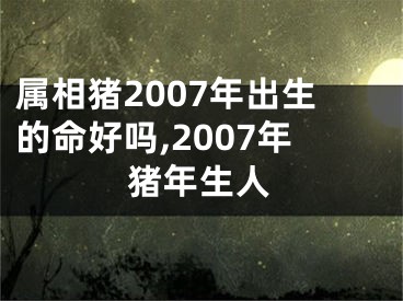 属相猪2007年出生的命好吗,2007年猪年生人