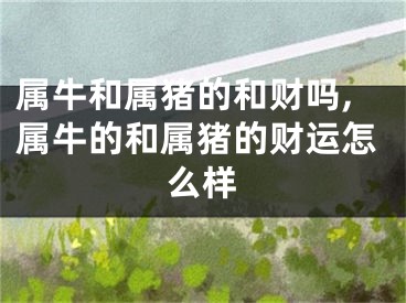 属牛和属猪的和财吗,属牛的和属猪的财运怎么样