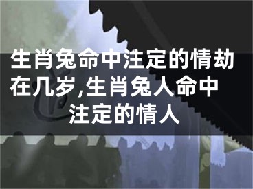 生肖兔命中注定的情劫在几岁,生肖兔人命中注定的情人