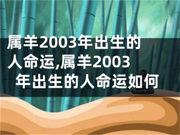 属羊2003年出生的人命运,属羊2003年出生的人命运如何