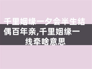 千里姻缘一夕会半生结偶百年亲,千里姻缘一线牵啥意思