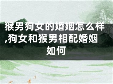 猴男狗女的婚姻怎么样,狗女和猴男相配婚姻如何