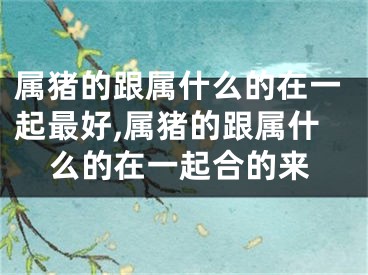 属猪的跟属什么的在一起最好,属猪的跟属什么的在一起合的来
