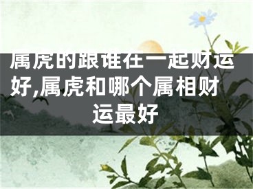 属虎的跟谁在一起财运好,属虎和哪个属相财运最好