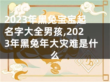2023年黑兔宝宝起名字大全男孩,2023年黑兔年大灾难是什么