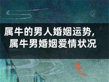 属牛的男人婚姻运势,属牛男婚姻爱情状况