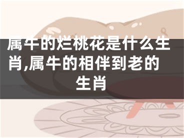 属牛的烂桃花是什么生肖,属牛的相伴到老的生肖