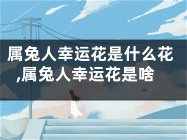 属兔人幸运花是什么花,属兔人幸运花是啥