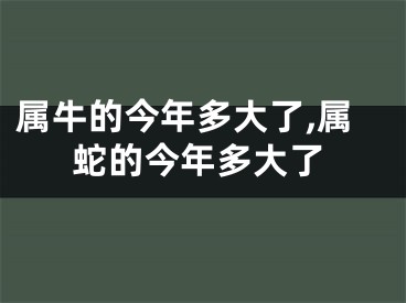 属牛的今年多大了,属蛇的今年多大了