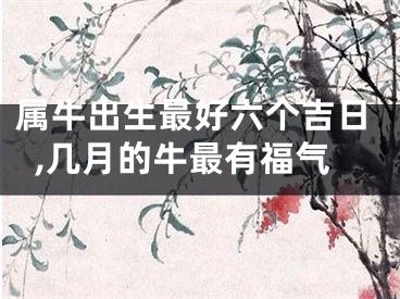 属牛出生最好六个吉日,几月的牛最有福气