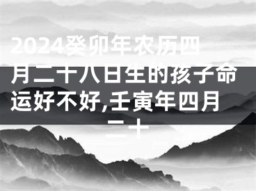 2024癸卯年农历四月二十八日生的孩子命运好不好,壬寅年四月二十