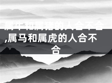 属牛和属猪的人合不合,属马和属虎的人合不合