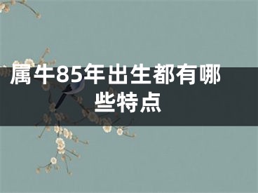 属牛85年出生都有哪些特点
