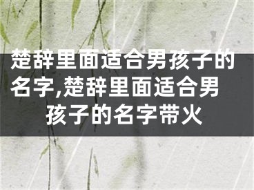 楚辞里面适合男孩子的名字,楚辞里面适合男孩子的名字带火