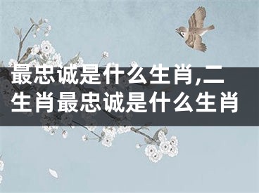 最忠诚是什么生肖,二生肖最忠诚是什么生肖