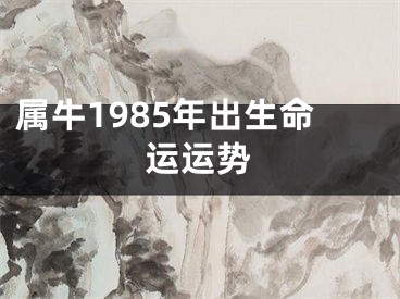 属牛1985年出生命运运势