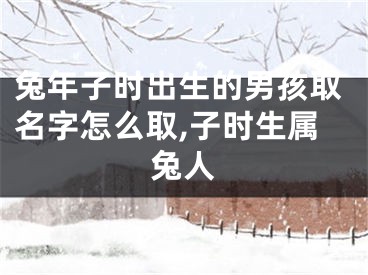 兔年子时出生的男孩取名字怎么取,子时生属兔人