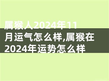 属猴人2024年11月运气怎么样,属猴在2024年运势怎么样
